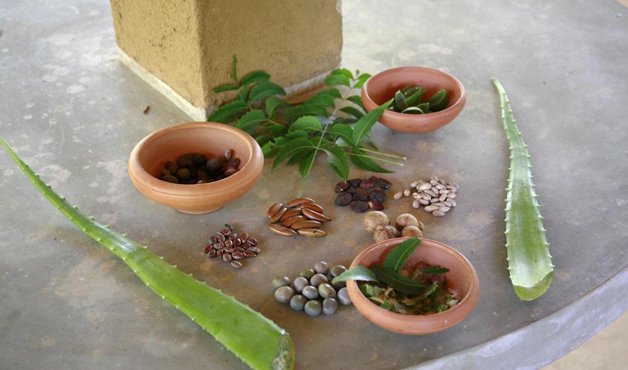 Nature Lanka Ayurveda Resort - All Meals And Ayurveda Treatments With Yoga Tangalle Exterior photo