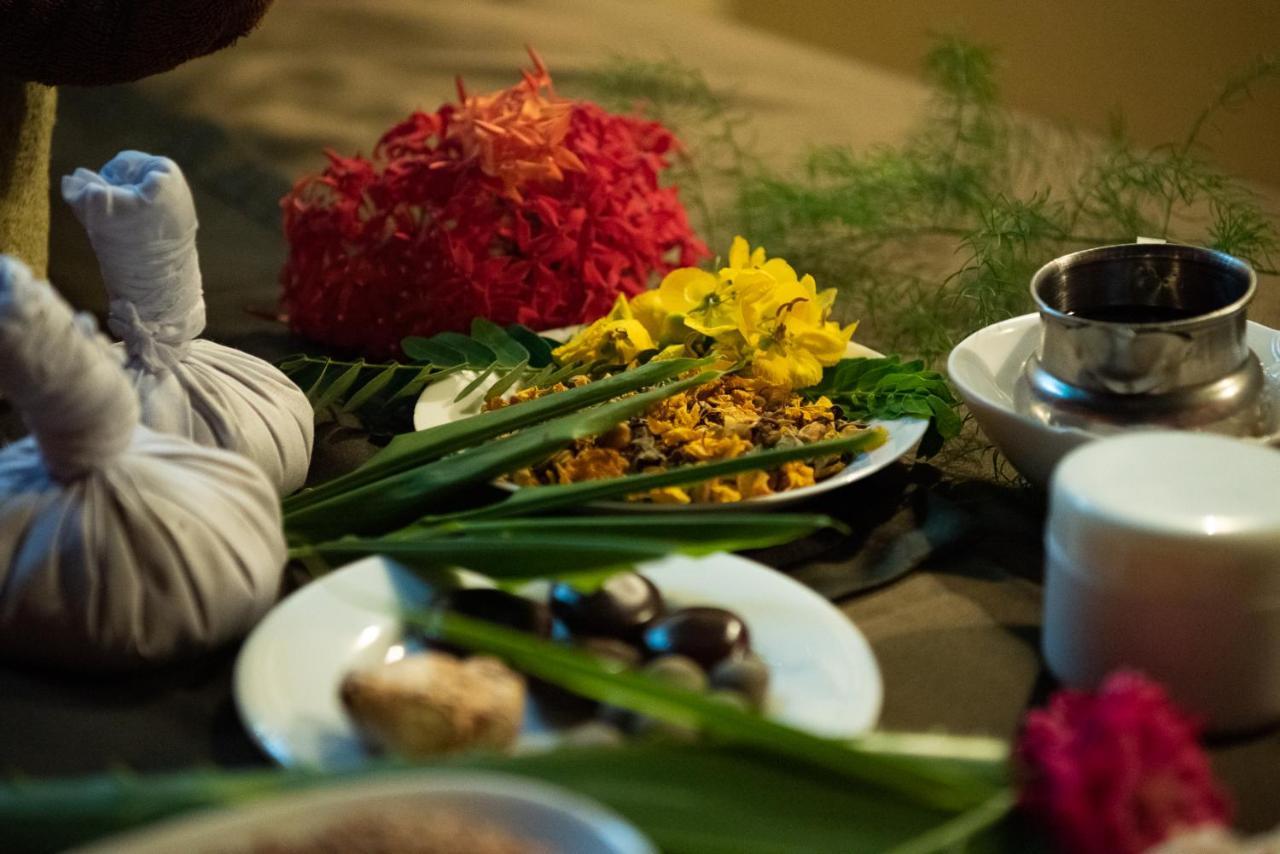 Nature Lanka Ayurveda Resort - All Meals And Ayurveda Treatments With Yoga Tangalle Exterior photo