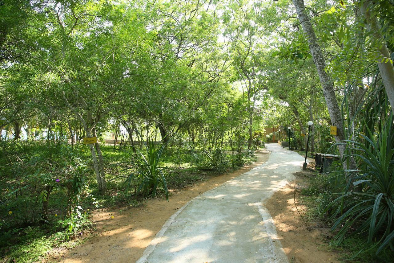 Nature Lanka Ayurveda Resort - All Meals And Ayurveda Treatments With Yoga Tangalle Exterior photo